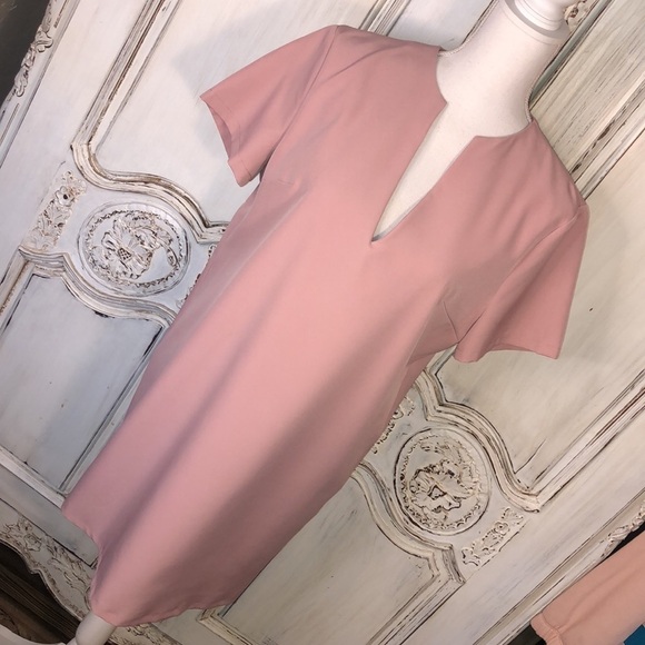 AEL Amy Enjoy Life Minimalist Short Sleeved Deep V Neck Full Cut Sheath Dress - Picture 3 of 9